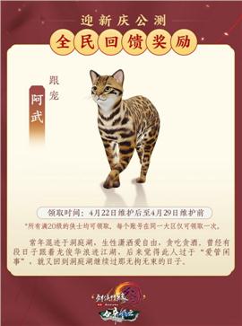天龙八部私服操作指南
